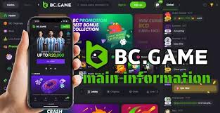 Exploring BC.Game MX Your Ultimate Online Gaming Platform